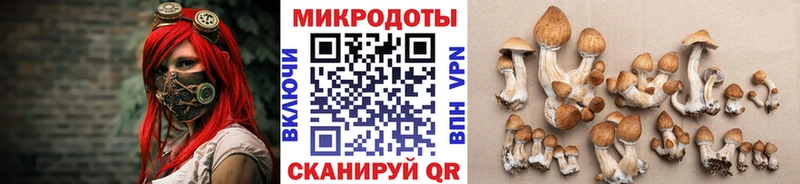 kraken ТОР сколько стоит Жуковка Псилоцибиновые грибы MAGIC MUSHROOMS